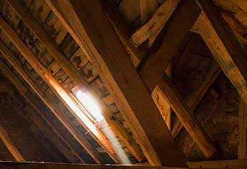 Attic Cleaning | Attic Cleaning Daly City, CA